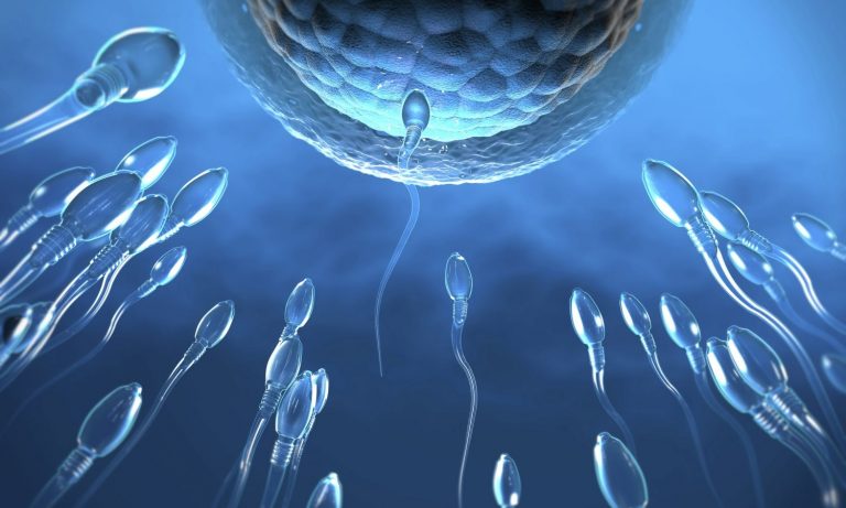 DoesCannabis Decrease Your Sperm Count?