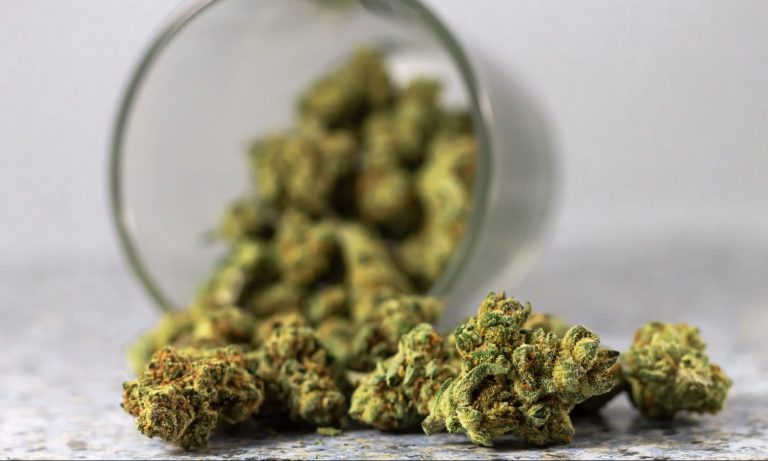 Survey Says Most Popular Way To Kick Opiates Is Cannabis