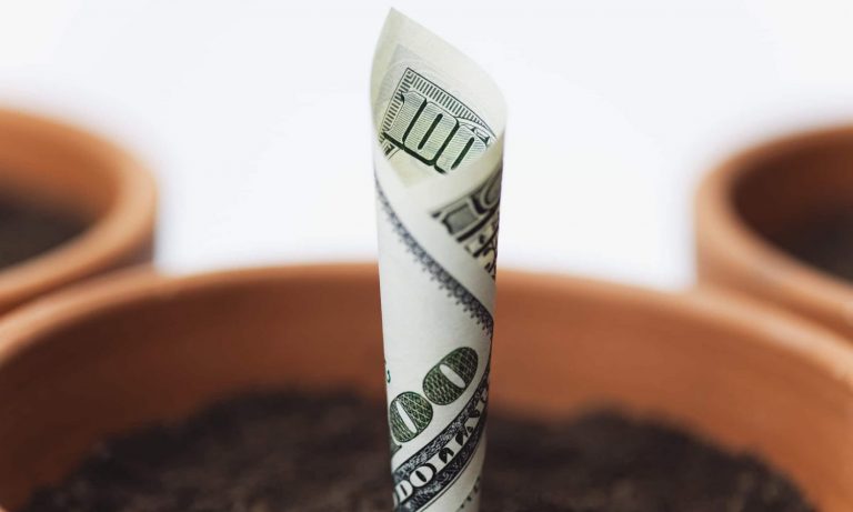 With Biden In White House, Cannabis Pros Expect ‘Fresh Influx Of Investment Dollars’
