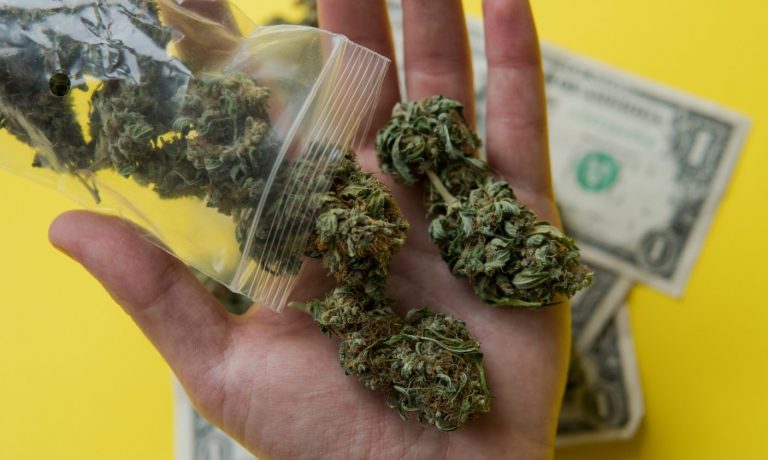 Cannabis Is Stealing Workers From Just About Every Other Industry