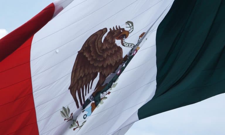 Mexican Cartels Are Now Smuggling Cannabis Oil