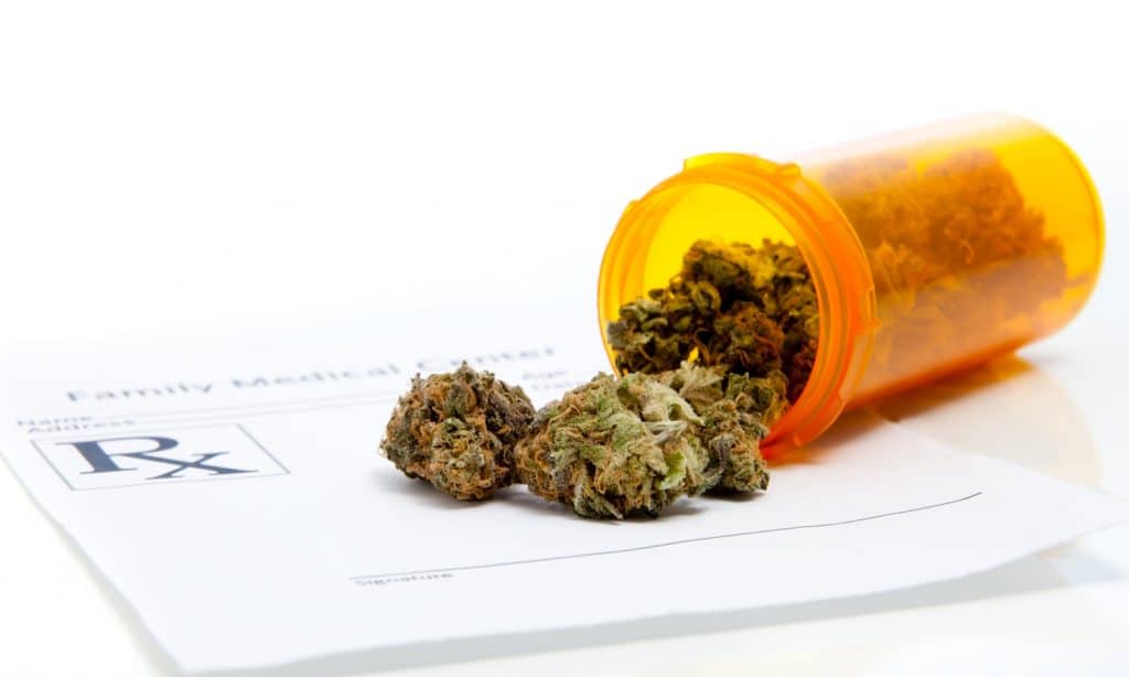 Pharmacy Students Lack Knowledge, Education To Prescribe Medical Marijuana