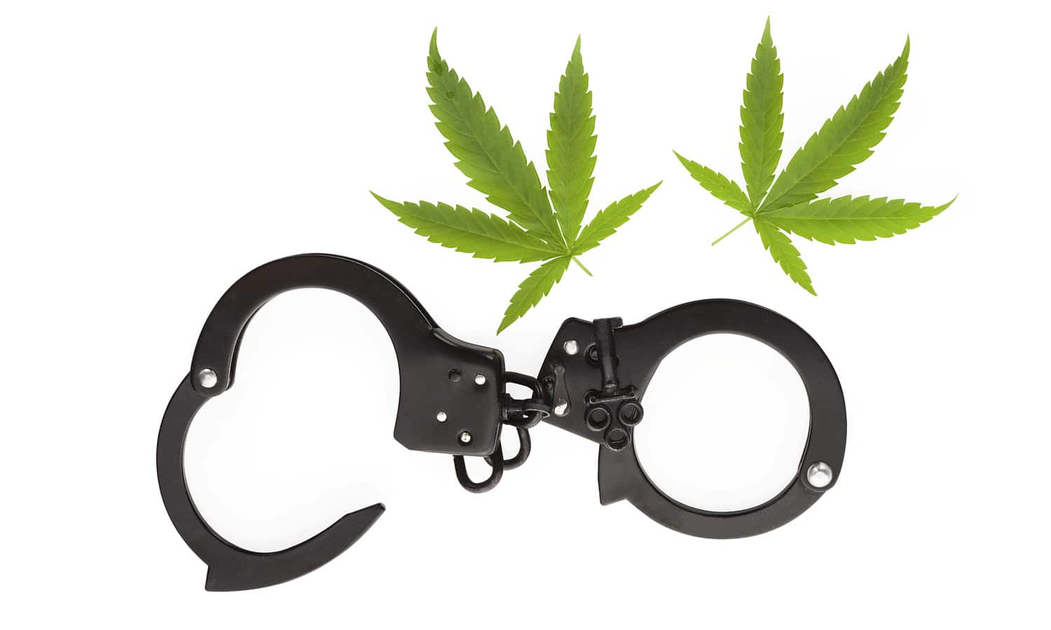 Why Marijuana Prosecutions Are Declining Across The Country