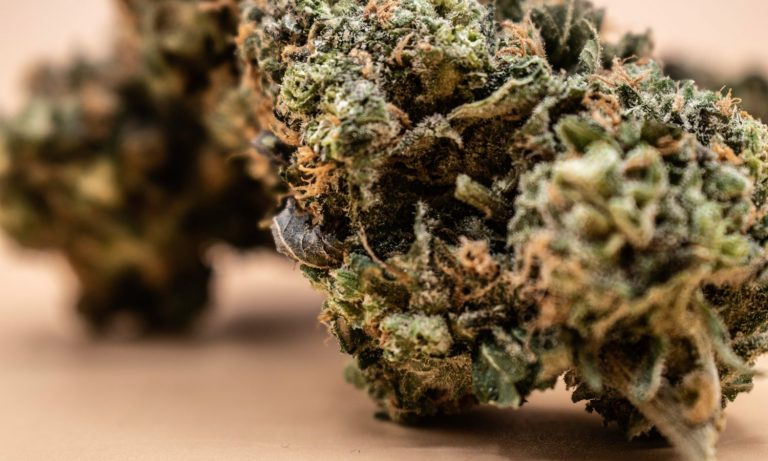 Why The US Has Made A Complete Mess Of Partial Marijuana Legalization (So Far)