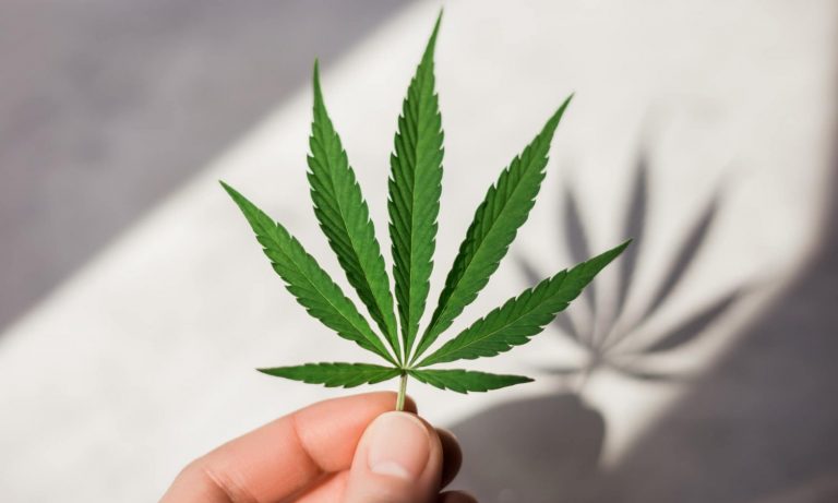 Senate Leaders Announce Plan To Federally Legalize Marijuana