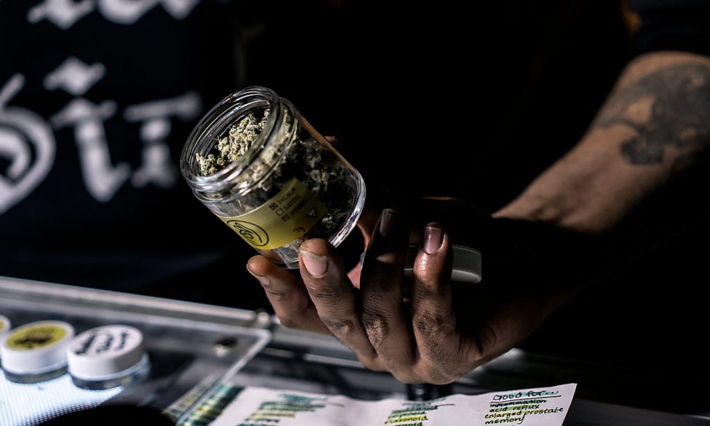 How to nab a well-paying career in the cannabis field, according to experts