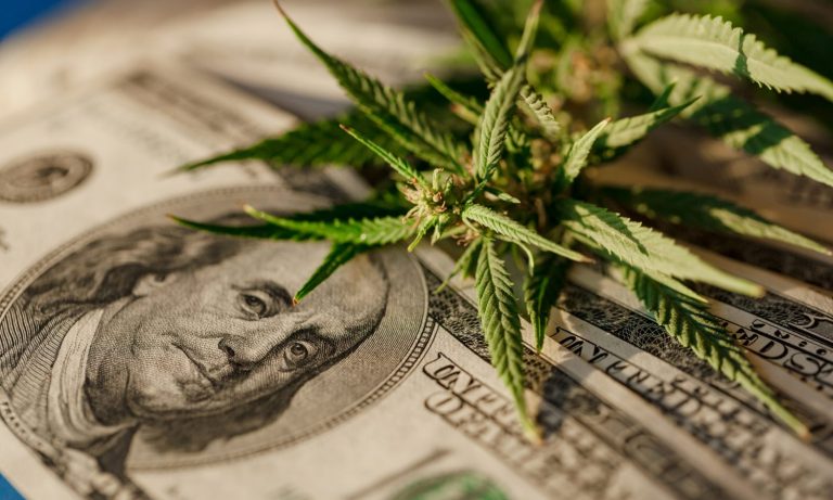 CA Turns Blind Eye To Marijuana Black Market