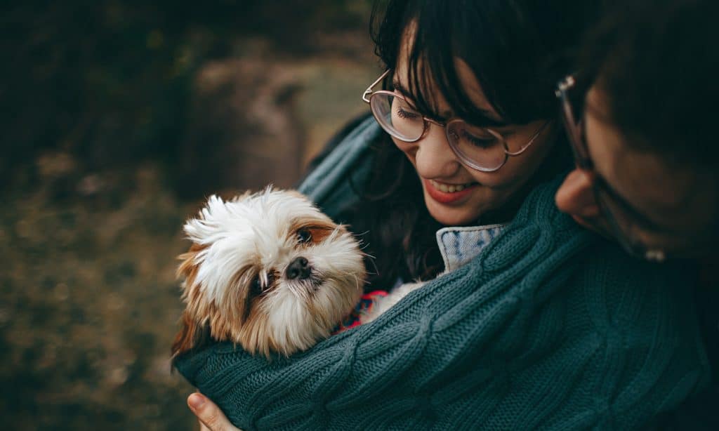 The Relationship Between CBD and Owning Pets Is Deeper Than You Think