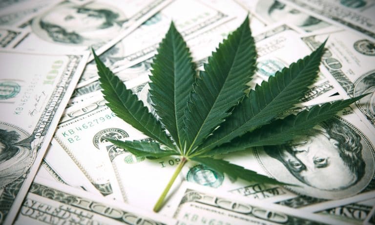 Financial Forecasts For Medical Marijuana