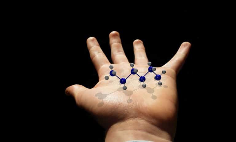 This Molecule Helps You Get Un-High