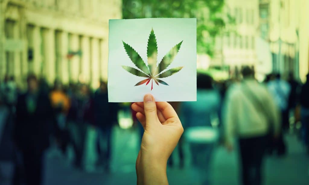 5 of the hottest jobs in cannabis right now