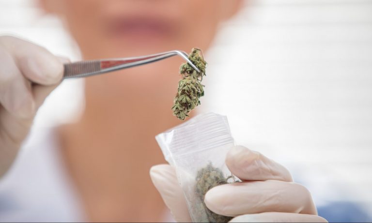Biden Betrayal Shows Cannabigotry In The White House