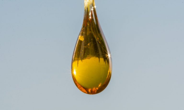 Ice Water Cannabis Extraction Explained And How Can You Do It At Home