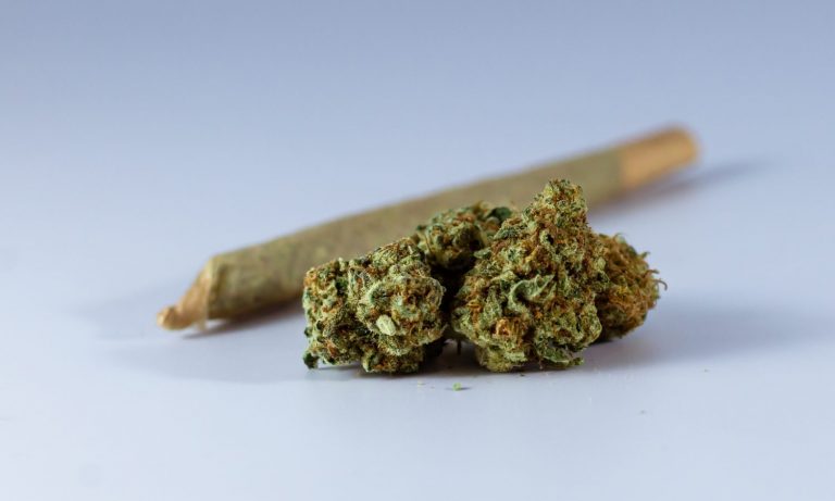 The Cannabis Pre-Roll Hype In 2020 Was Real — And It’s Just The Beginning