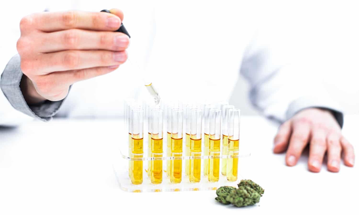 DEA Seeks To Expand Marijuana Research Opportunities