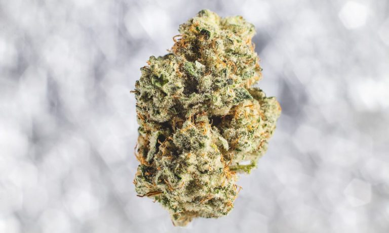 Is Flower Losing Its Power?