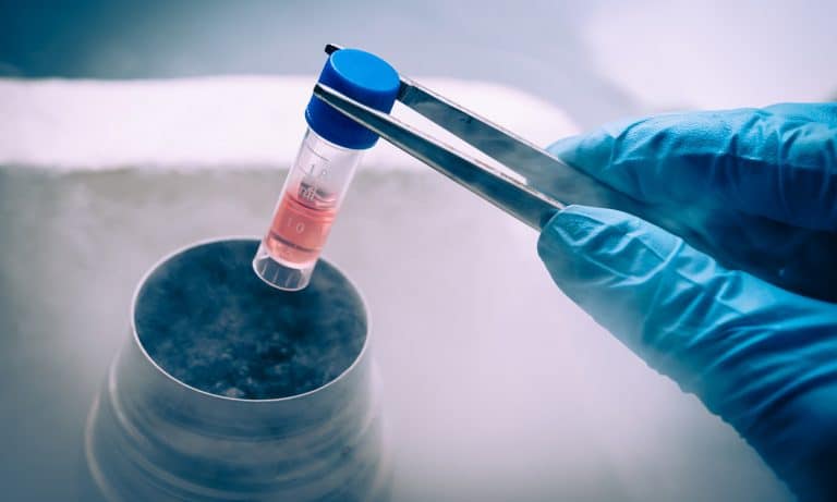 Stem Cell Secretions May Be The Key In Curing Pulmonary Fibrosis Damage