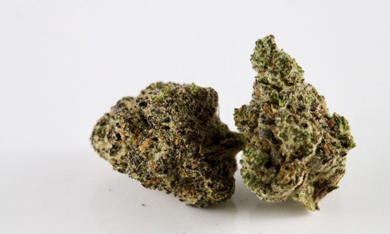 10 Most Potent Sativa Strains On The Market