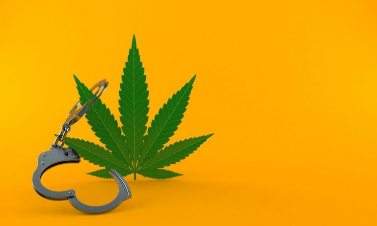 Biden’s DEA Pick Anne Milgram & Cannabis Implications