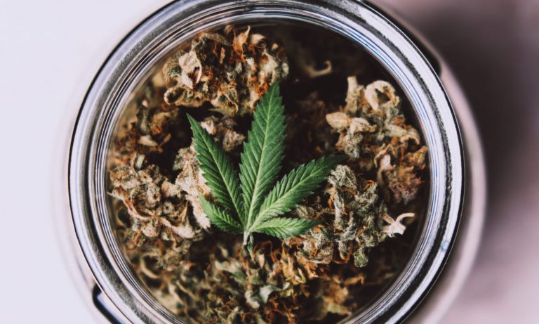 Who Decides The Future Of Cannabis?