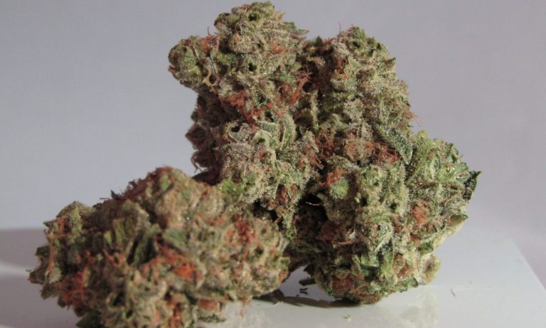 WA State Cannabis Authorities Bar Processors From Using Hemp CBD To Make Delta-9 THC