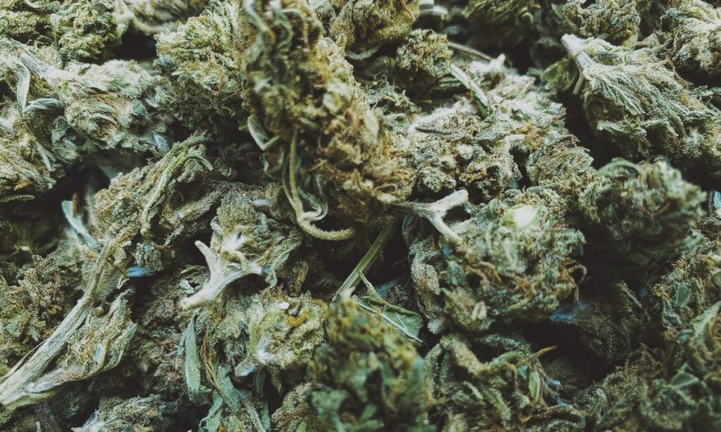 The Beginner's Guide to Kush Weed