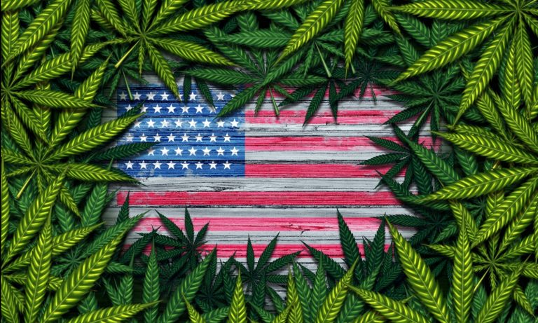 Congress Considers Bill To Research Marijuana Legalization Across Country