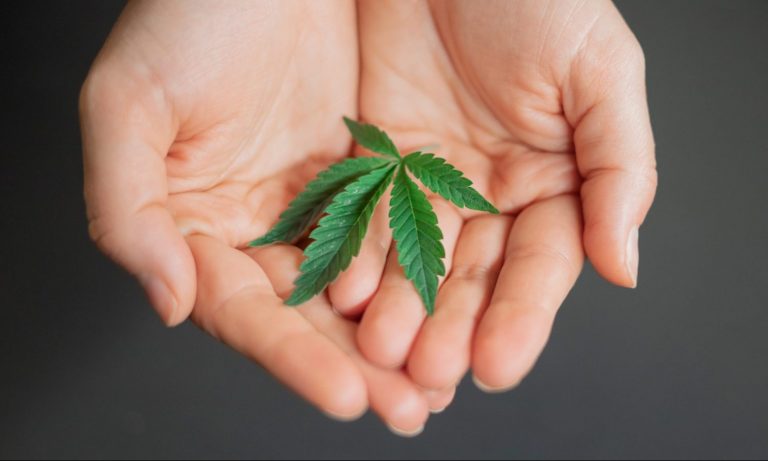 Marijuana Use Has Grown 56% Since 2018: YouGov Study