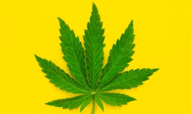 Experts Weight In On Federally Legal Marijuana