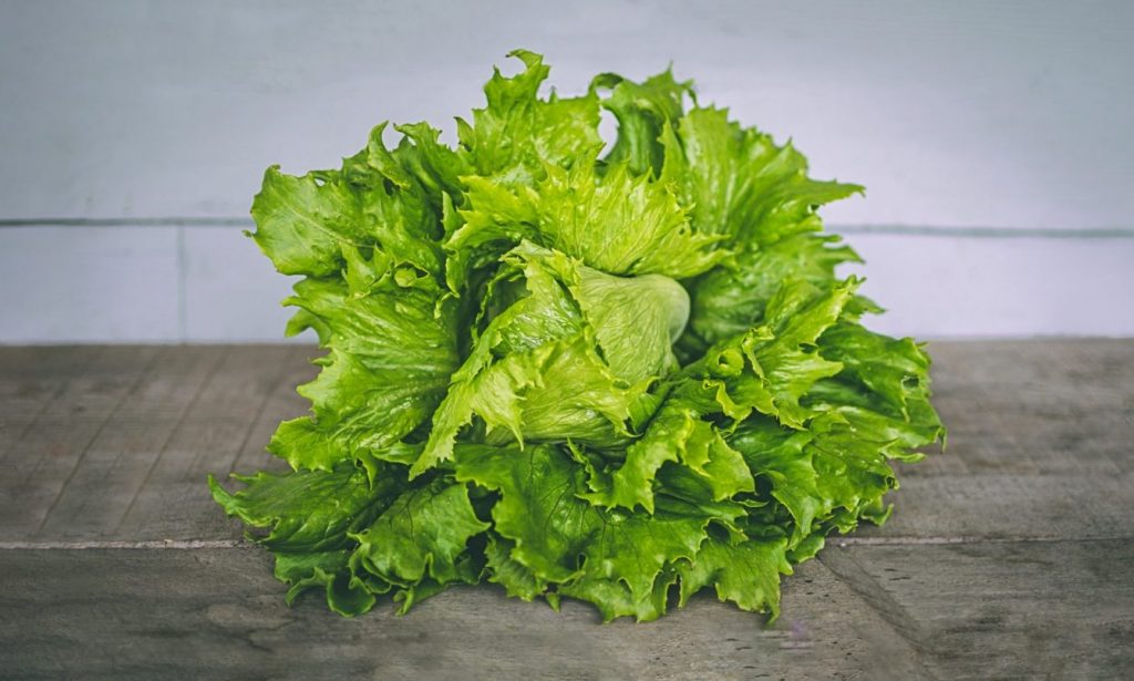 lettuce