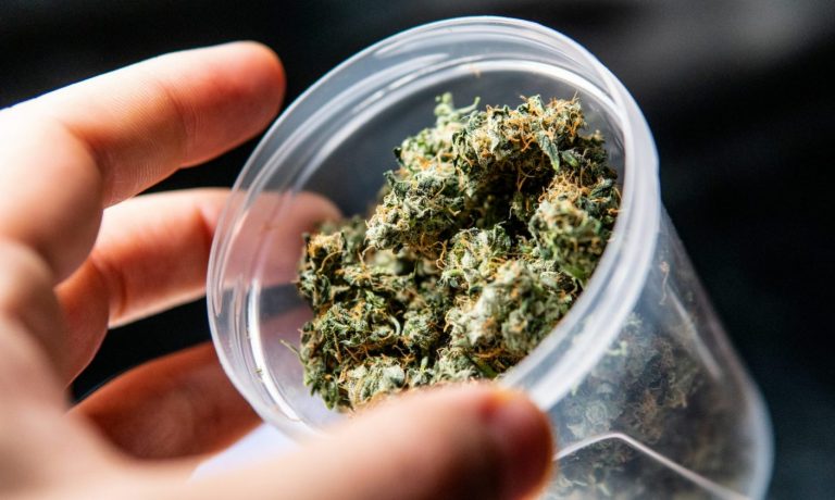 What Is Cannabidivarin (CBDV) And Is It The Next Big Thing?