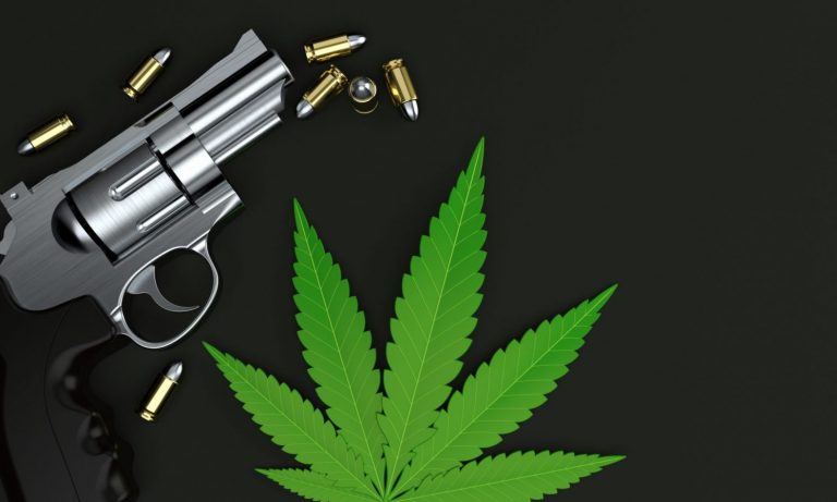 Marijuana Use And Gun Ownership: What You Need To Know