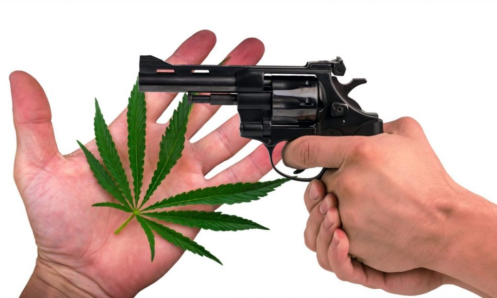 Should Budtenders Be Allowed To Carry Guns?