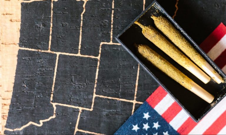 Does Big Business Provide A Better Look Into Cannabis Reform Than Capitol Hill?