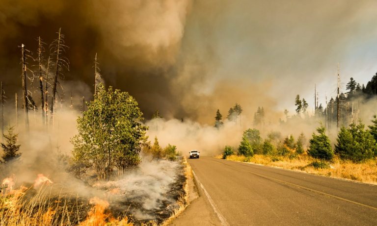 Fire Season Is Coming — Here’s What That Means For Canna-Businesses