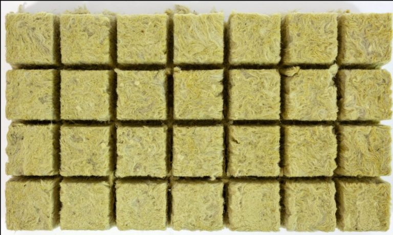 What Is Rockwool And Why Is It A New Buzzword In The Marijuana Industry?