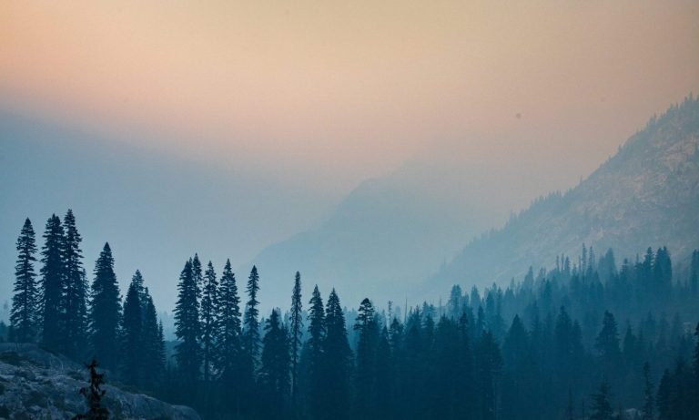 Wildfires In The Western US: How You Can Breathe Easier In Your Home