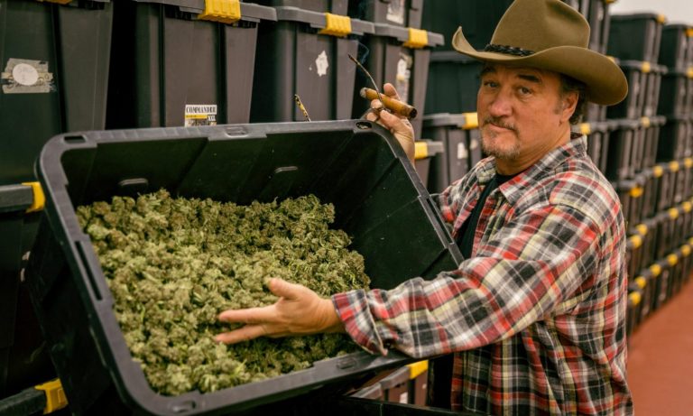 Jim Belushi Just Wants To Break Even On His Cannabis Business