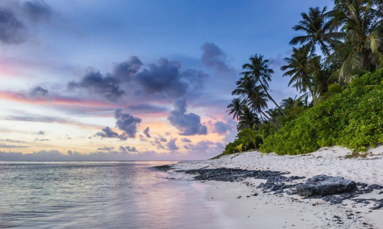 Germany Seeks To Decriminalize Minimum Possession Of Weed And Import Jamaican Bud