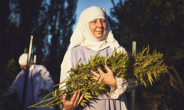 Holy Smokes, These Nuns Who Grow Weed