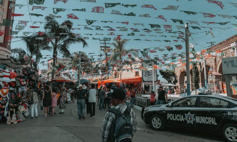 Cannabis Crossing US-Mexico Border Now Going In Opposite Direction