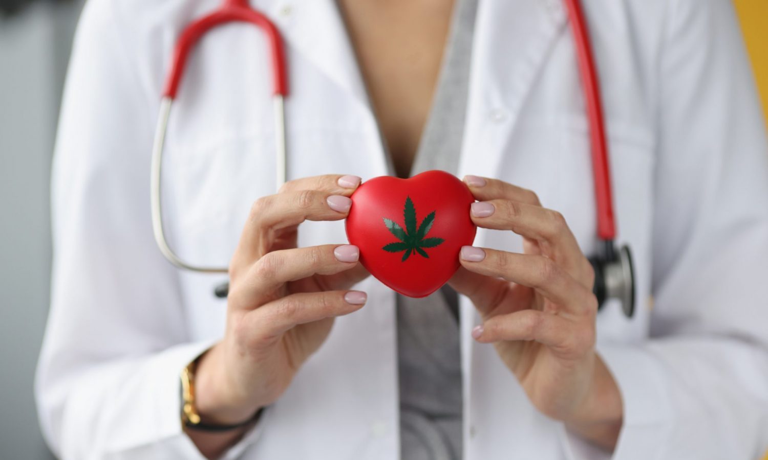 cannabis heart health