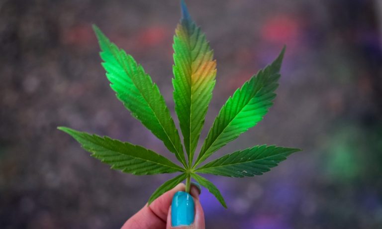 Friday Before Labor Day Was Huge For Cannabis Sales
