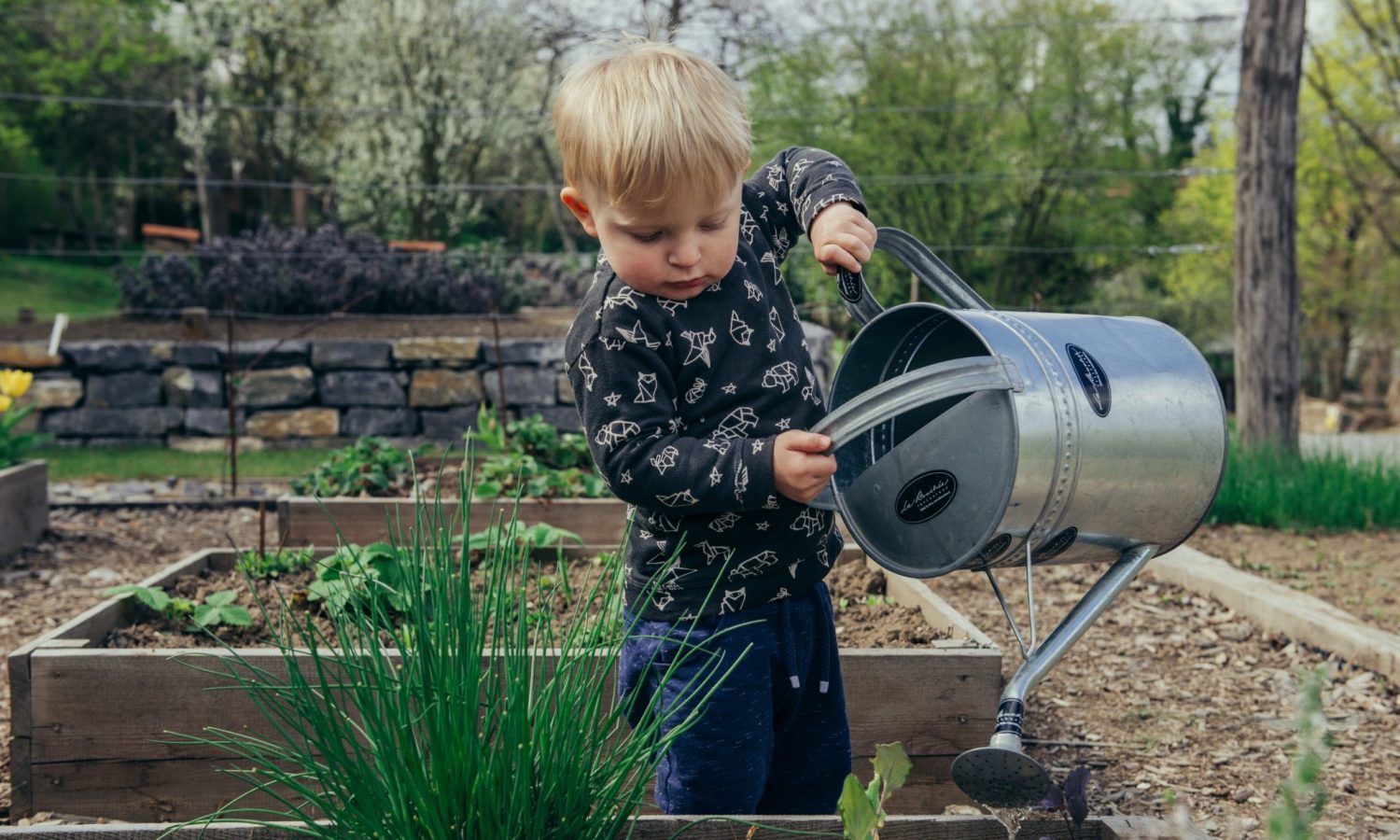 Interested In Gardening? Here Are 5 Tips That Can Help You Get Started