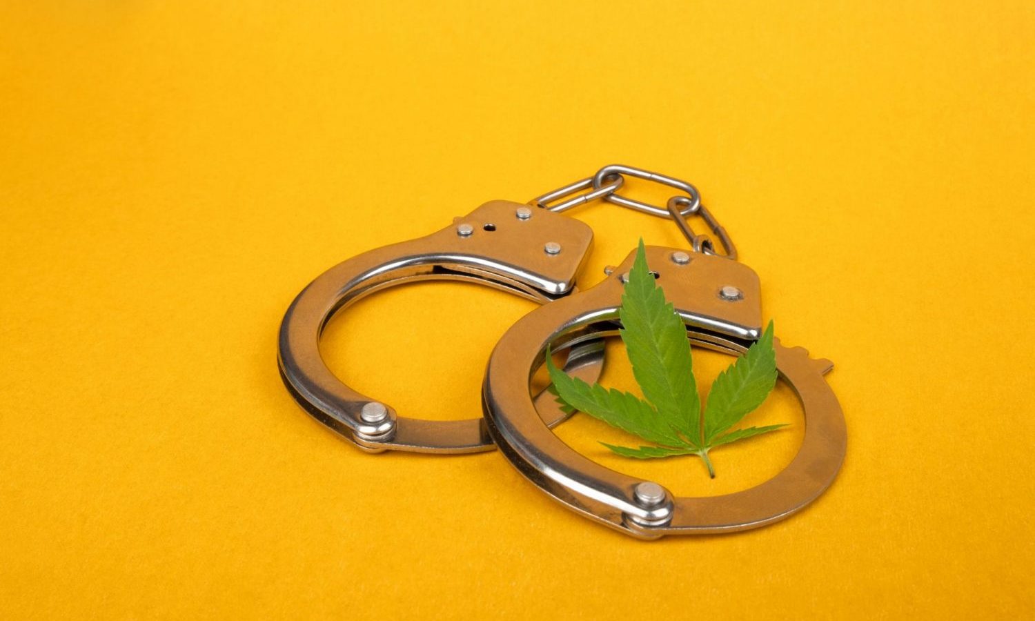 marijuana arrest