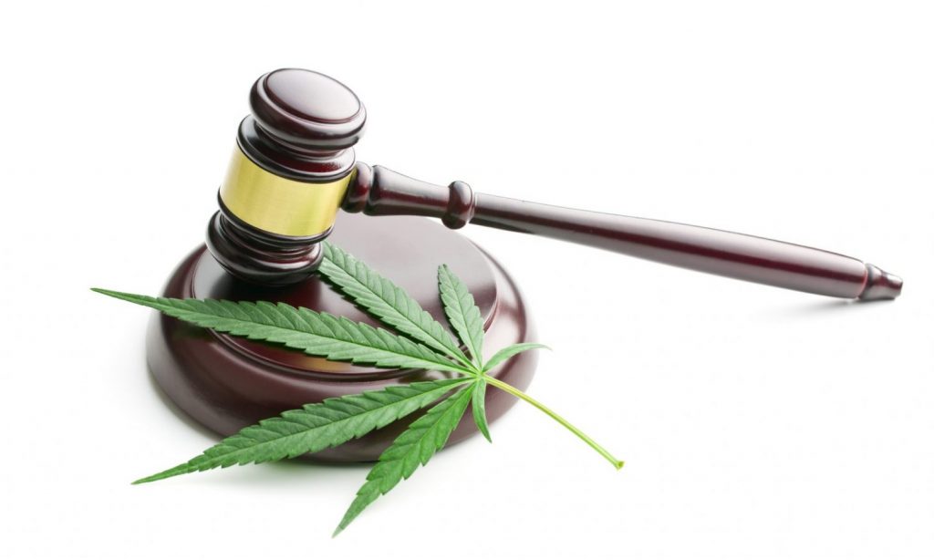 marijuana courts