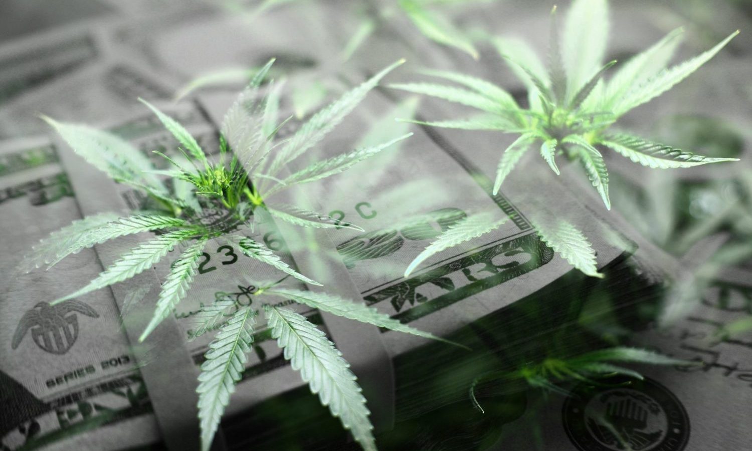 The IRS Comes Clean On Marijuana And Cryptocurrency Taxation