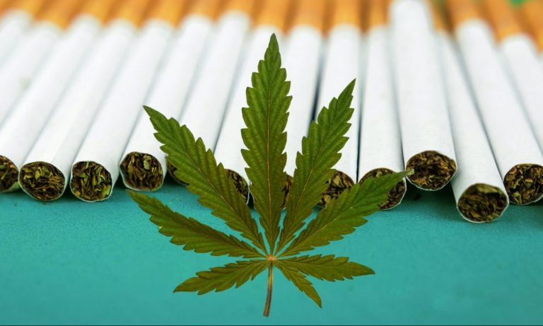 A Guide To Smoking CBD Cigarettes