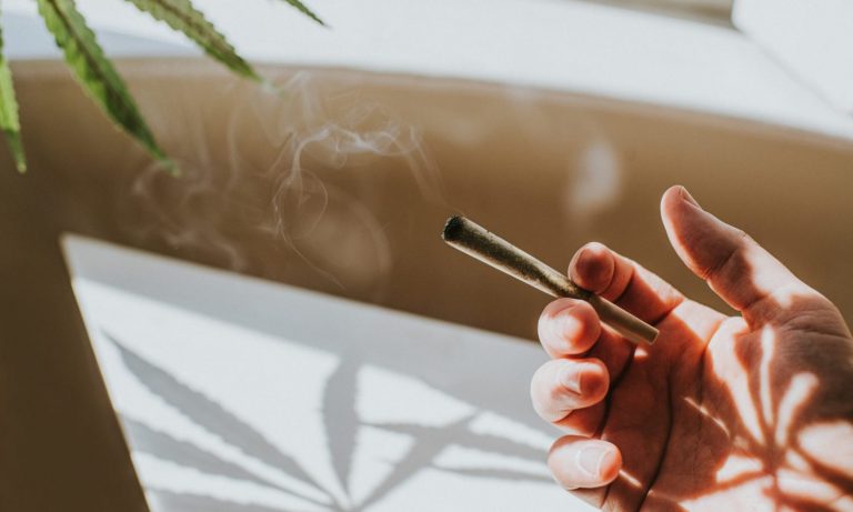 This Is What’s Considered High-THC Cannabis These Days