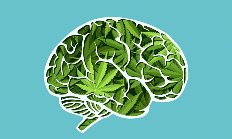 Can Cannabis Keep Your Brain Young?